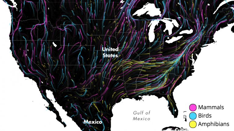Migration Example Map 21 Mind-Blowing Map Examples from the Web - Infogram