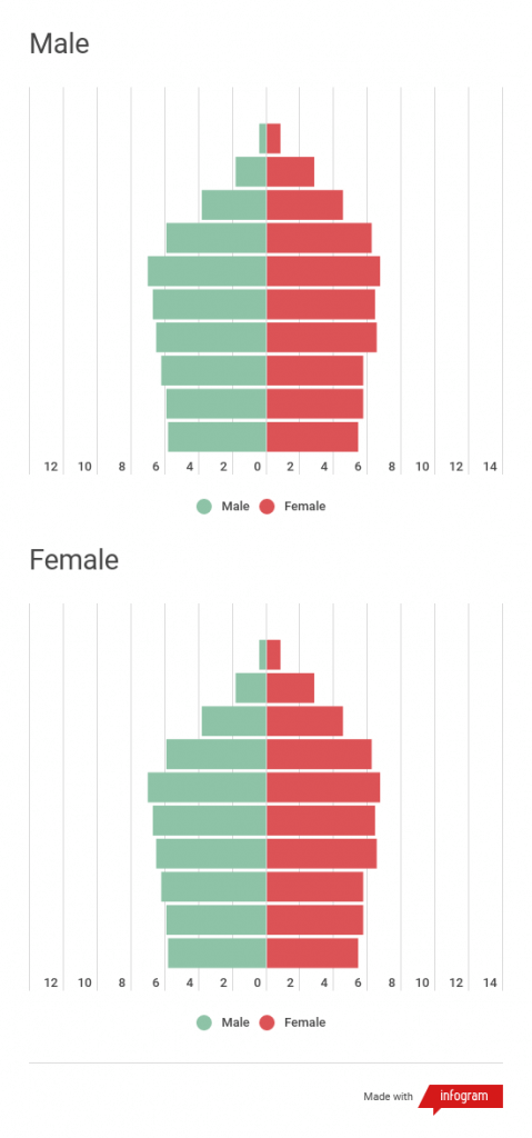 Population Pyramid 1 Infogram   Population Pyramid 1 479x1024 