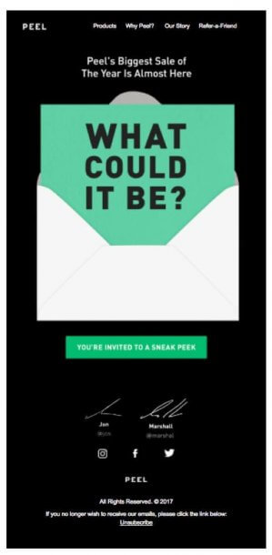 Black Friday email marketing campaign example Peel